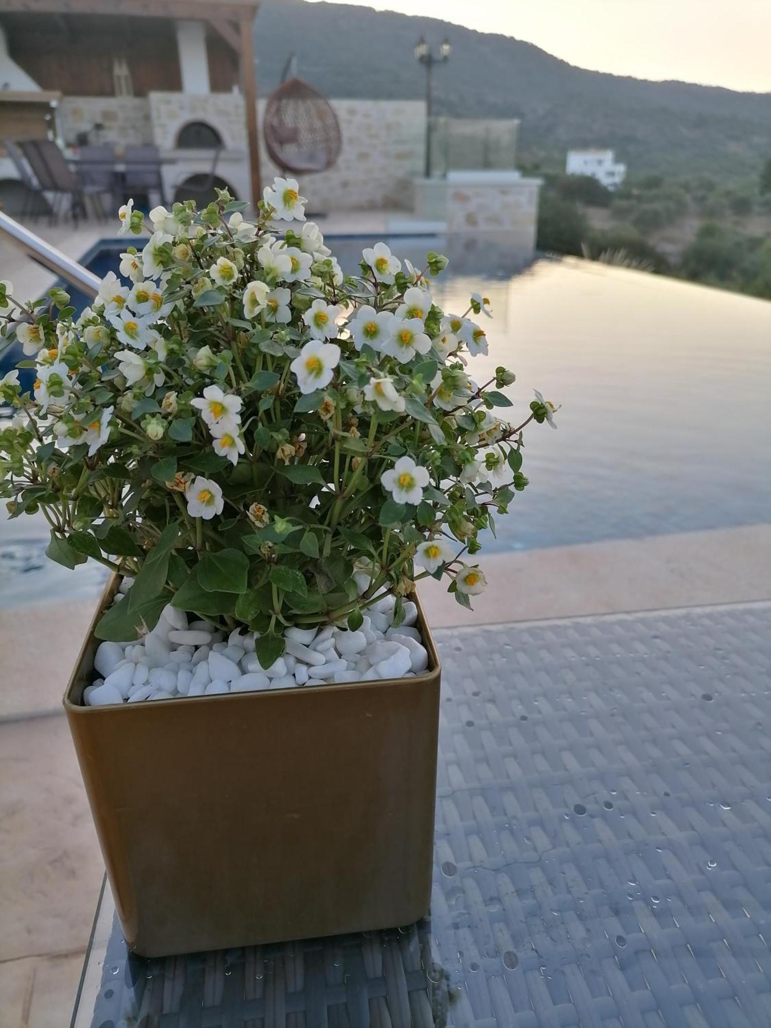 Villa Halepouri Hanya Dış mekan fotoğraf